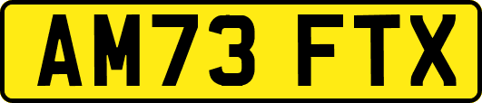 AM73FTX