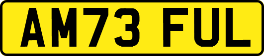 AM73FUL