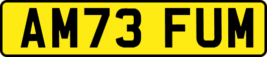 AM73FUM