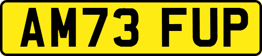 AM73FUP
