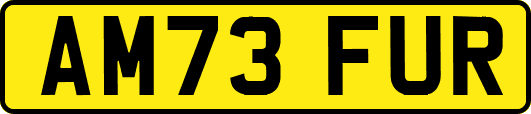 AM73FUR