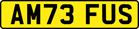 AM73FUS