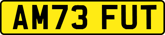 AM73FUT