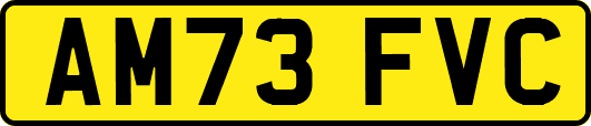 AM73FVC