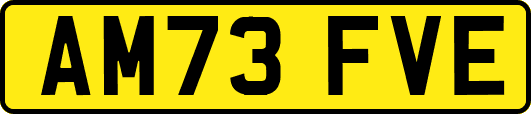 AM73FVE