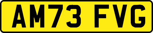 AM73FVG