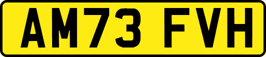 AM73FVH