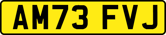AM73FVJ