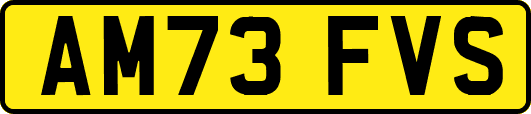 AM73FVS