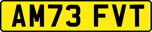 AM73FVT