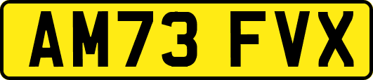 AM73FVX
