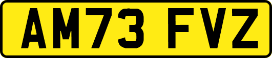 AM73FVZ