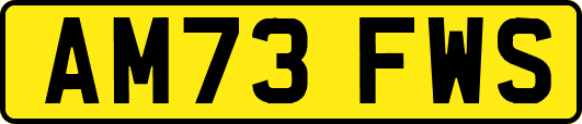 AM73FWS