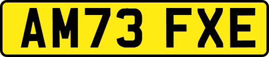 AM73FXE