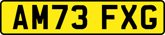 AM73FXG