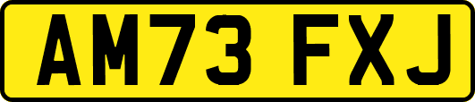 AM73FXJ