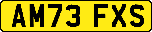 AM73FXS