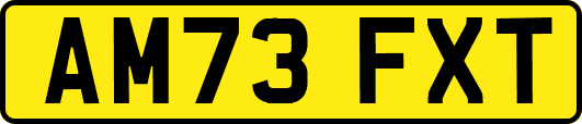 AM73FXT