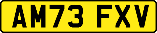 AM73FXV
