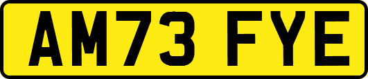 AM73FYE