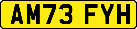AM73FYH