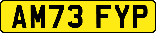 AM73FYP