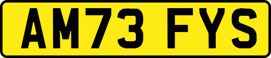 AM73FYS