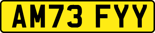 AM73FYY