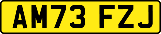 AM73FZJ