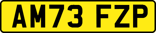 AM73FZP