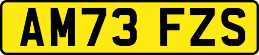 AM73FZS