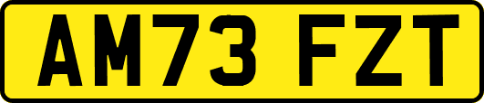 AM73FZT