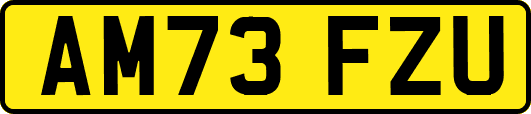 AM73FZU