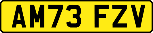 AM73FZV
