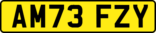 AM73FZY