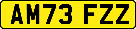 AM73FZZ