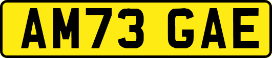 AM73GAE
