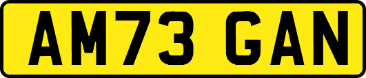AM73GAN