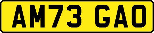 AM73GAO