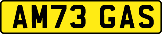 AM73GAS