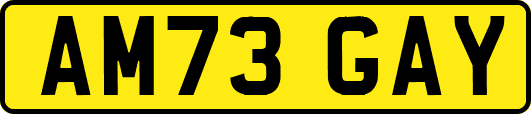 AM73GAY