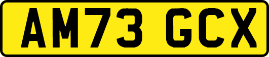 AM73GCX