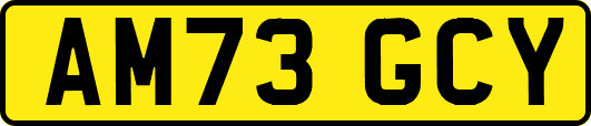 AM73GCY