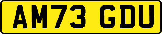 AM73GDU