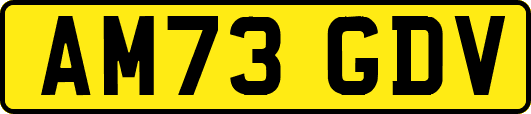 AM73GDV