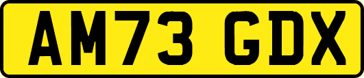 AM73GDX