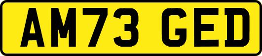 AM73GED