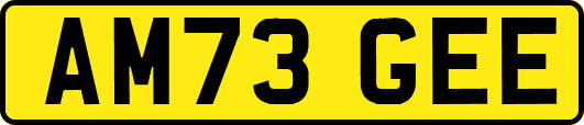 AM73GEE
