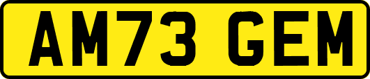 AM73GEM