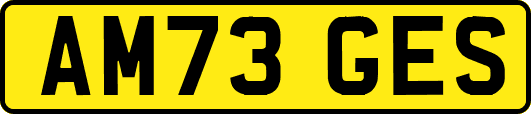 AM73GES